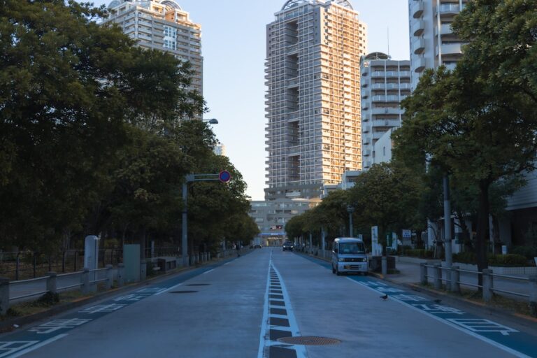 Uma Estrada Reta Ladeada Por Arvores Que Leva a Predios BkvA1CaMzVY