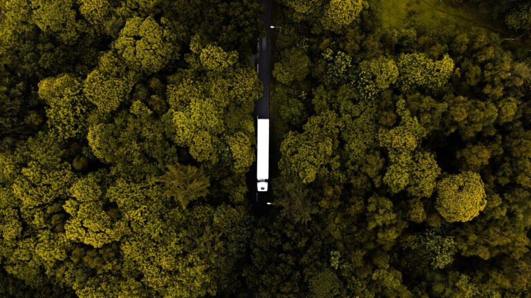 Drone view of a semi truck driving through dense forest in Norfolk, England