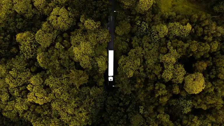 Drone view of a semi truck driving through dense forest in Norfolk, England